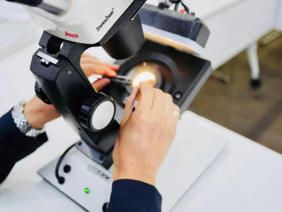 実技セミナーの様子